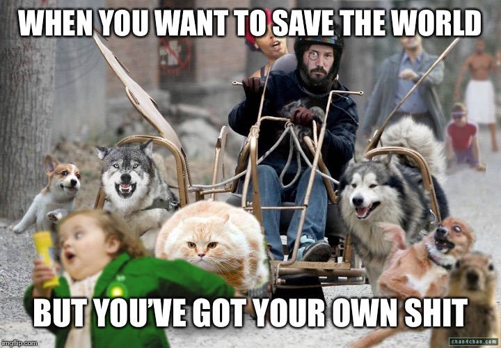 chaos | WHEN YOU WANT TO SAVE THE WORLD; BUT YOU’VE GOT YOUR OWN SHIT | image tagged in chaos | made w/ Imgflip meme maker