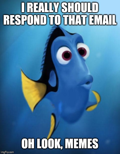 Dory | I REALLY SHOULD RESPOND TO THAT EMAIL; OH LOOK, MEMES | image tagged in dory | made w/ Imgflip meme maker