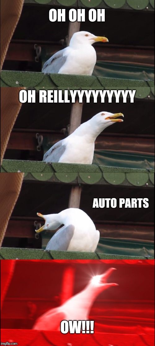 Inhaling Seagull Meme | OH OH OH; OH REILLYYYYYYYYY; AUTO PARTS; OW!!! | image tagged in memes,inhaling seagull | made w/ Imgflip meme maker