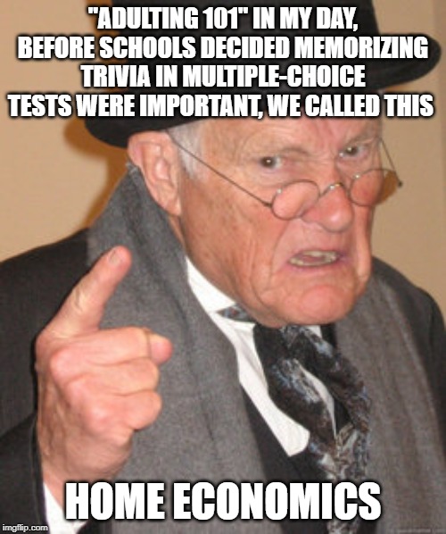 Back In My Day Meme | "ADULTING 101" IN MY DAY, BEFORE SCHOOLS DECIDED MEMORIZING TRIVIA IN MULTIPLE-CHOICE TESTS WERE IMPORTANT, WE CALLED THIS; HOME ECONOMICS | image tagged in memes,back in my day | made w/ Imgflip meme maker