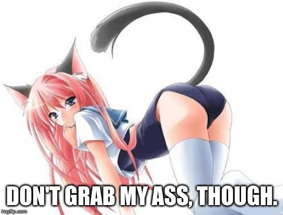 Cat girl | DON'T GRAB MY ASS, THOUGH. | image tagged in cat girl | made w/ Imgflip meme maker