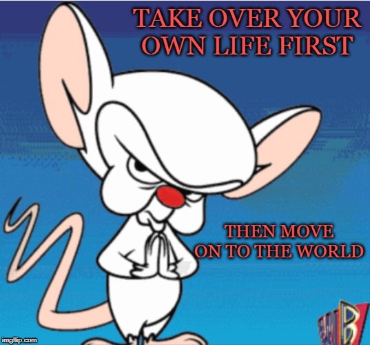 TAKE OVER YOUR OWN LIFE FIRST; THEN MOVE ON TO THE WORLD | image tagged in brain,pinky,take over the world | made w/ Imgflip meme maker