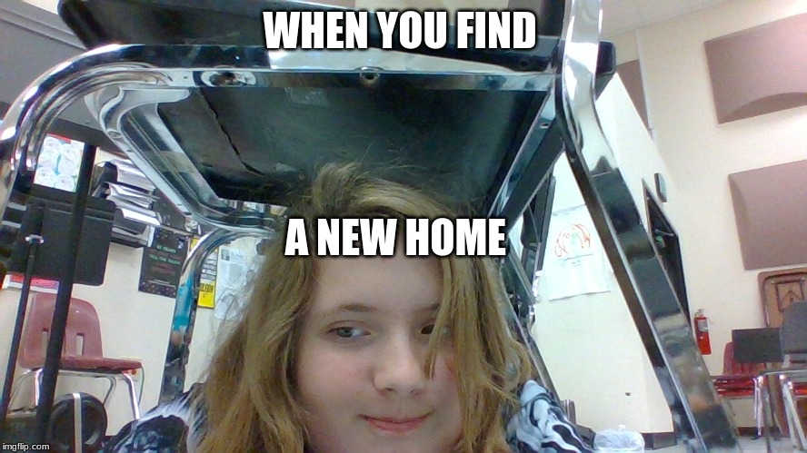 when you find a home | WHEN YOU FIND; A NEW HOME | image tagged in homeless | made w/ Imgflip meme maker