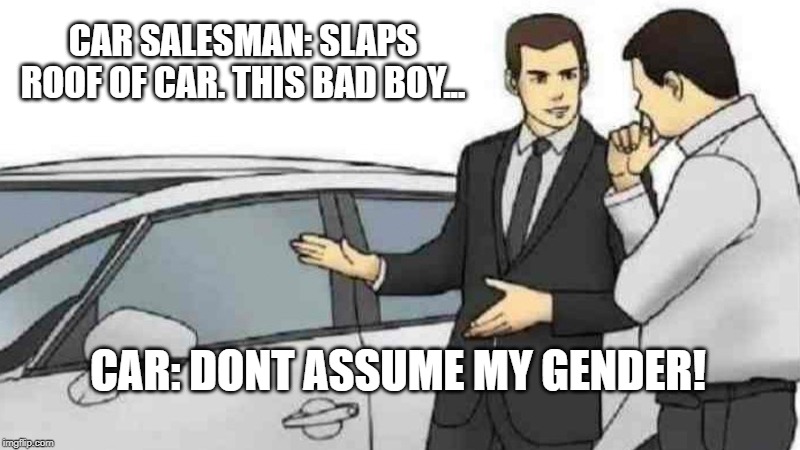 Car Salesman Slaps Roof Of Car | CAR SALESMAN: SLAPS ROOF OF CAR. THIS BAD BOY... CAR: DONT ASSUME MY GENDER! | image tagged in memes,car salesman slaps roof of car | made w/ Imgflip meme maker