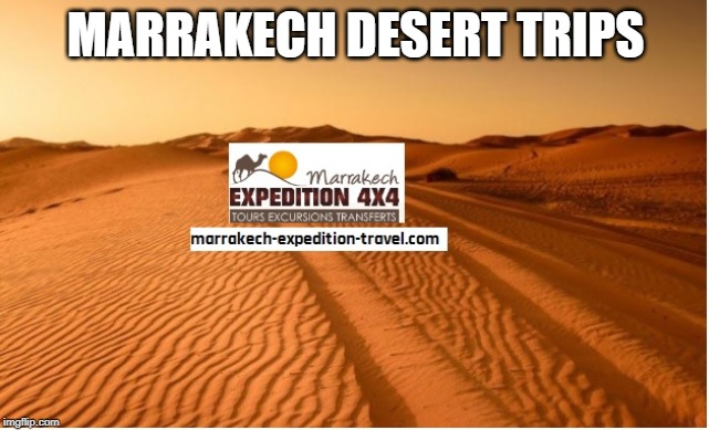 Marrakech desert trips | MARRAKECH DESERT TRIPS | image tagged in marrakech desert trips,camel trekking morocco | made w/ Imgflip meme maker