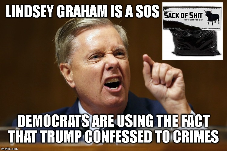 Trump did the crime. Trump confessed to the crime. Trump will be IMPEACHED! | LINDSEY GRAHAM IS A SOS; DEMOCRATS ARE USING THE FACT THAT TRUMP CONFESSED TO CRIMES | image tagged in lindsey graham,corrupt,criminal,traitor,impeach trump,conservative hypocrisy | made w/ Imgflip meme maker