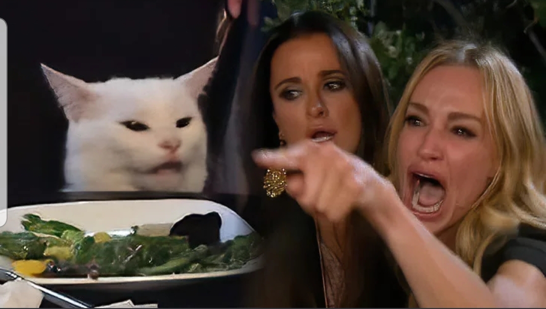 Best Woman Yelling At Cat Meme Generator A blank template of this