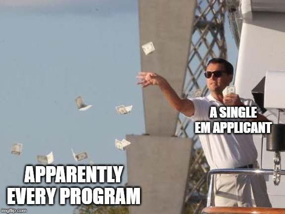 Leonardo DiCaprio throwing Money  | A SINGLE EM APPLICANT; APPARENTLY EVERY PROGRAM | image tagged in leonardo dicaprio throwing money | made w/ Imgflip meme maker