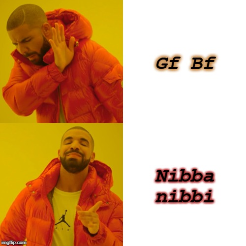 Drake Hotline Bling Meme | Gf Bf; Nibba nibbi | image tagged in memes,drake hotline bling | made w/ Imgflip meme maker