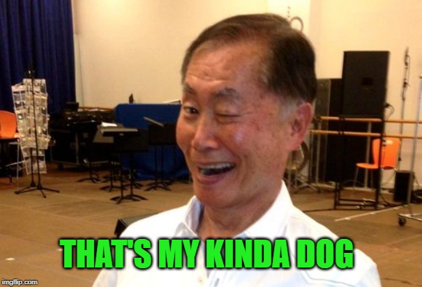 Winking George Takei | THAT'S MY KINDA DOG | image tagged in winking george takei | made w/ Imgflip meme maker