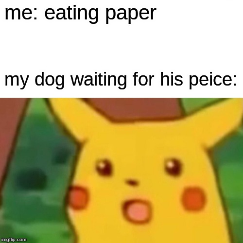 Surprised Pikachu Meme | me: eating paper; my dog waiting for his peice: | image tagged in memes,surprised pikachu | made w/ Imgflip meme maker