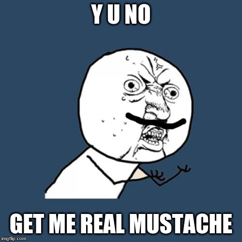 Y U No | Y U NO; GET ME REAL MUSTACHE | image tagged in memes,y u no | made w/ Imgflip meme maker