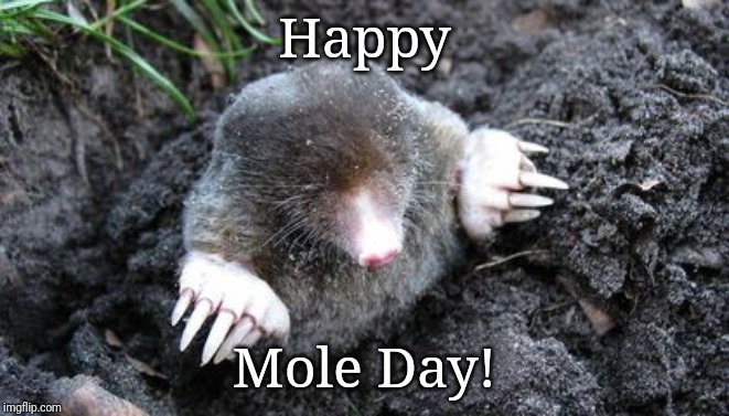 Happy; Mole Day! | image tagged in mole,day,chemistry | made w/ Imgflip meme maker