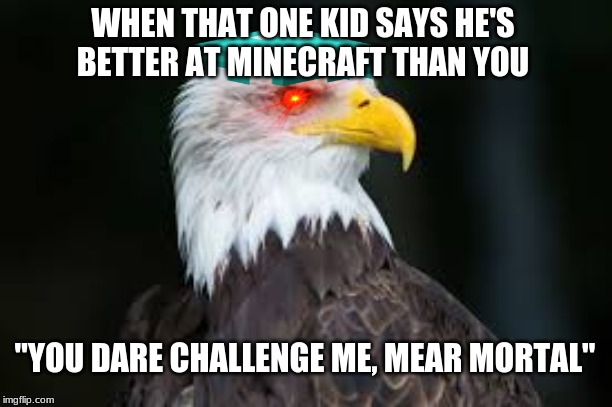 Minecraft  Eagle | WHEN THAT ONE KID SAYS HE'S BETTER AT MINECRAFT THAN YOU; "YOU DARE CHALLENGE ME, MEAR MORTAL" | image tagged in minecraft | made w/ Imgflip meme maker