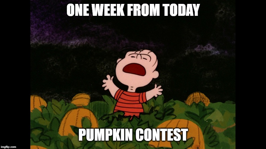 Great Pumpkin | ONE WEEK FROM TODAY; PUMPKIN CONTEST | image tagged in great pumpkin | made w/ Imgflip meme maker