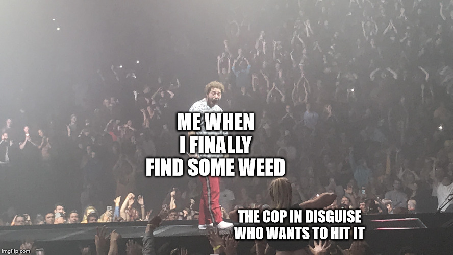 ME WHEN I FINALLY FIND SOME WEED; THE COP IN DISGUISE WHO WANTS TO HIT IT | image tagged in post malone | made w/ Imgflip meme maker