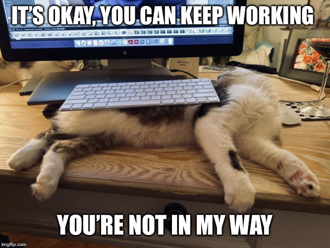 it’s okay, you can keep working | IT’S OKAY, YOU CAN KEEP WORKING; YOU’RE NOT IN MY WAY | image tagged in its okay you can keep working | made w/ Imgflip meme maker