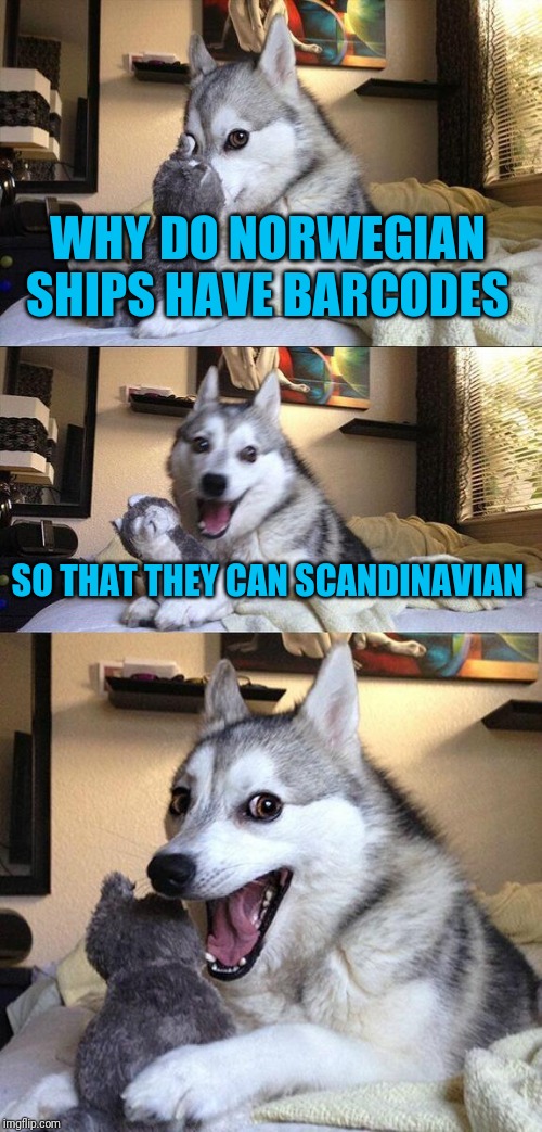 Possibly Sweden and Finland too |  WHY DO NORWEGIAN SHIPS HAVE BARCODES; SO THAT THEY CAN SCANDINAVIAN | image tagged in memes,bad pun dog,dad joke,norway,barcodes,expanding brain | made w/ Imgflip meme maker