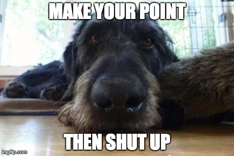 Make your point | MAKE YOUR POINT THEN SHUT UP | image tagged in seriously frodo | made w/ Imgflip meme maker