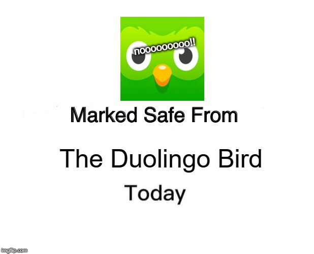 Marked Safe From | nooooooooo!! The Duolingo Bird | image tagged in memes,marked safe from | made w/ Imgflip meme maker