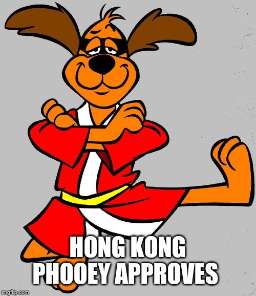 Hong Kong Phooey | HONG KONG PHOOEY APPROVES | image tagged in hong kong phooey | made w/ Imgflip meme maker