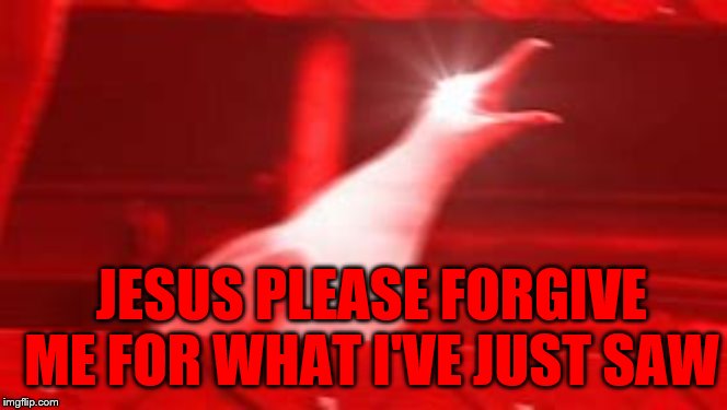 JESUS PLEASE FORGIVE ME FOR WHAT I'VE JUST SAW | made w/ Imgflip meme maker