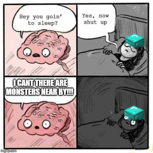 Hey you going to sleep? | I CANT THERE ARE MONSTERS NEAR BY!!! | image tagged in hey you going to sleep | made w/ Imgflip meme maker