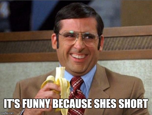 brick tamland | IT'S FUNNY BECAUSE SHES SHORT | image tagged in brick tamland | made w/ Imgflip meme maker