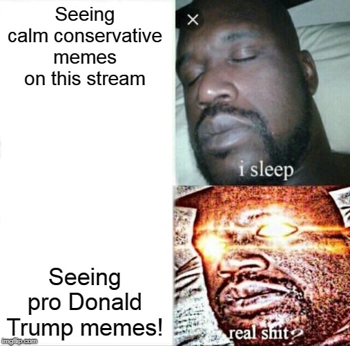 Me vs. this stream | Seeing calm conservative memes on this stream; Seeing pro Donald Trump memes! | image tagged in memes,sleeping shaq | made w/ Imgflip meme maker