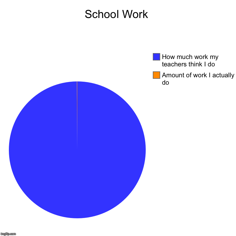 School Work | Amount of work I actually do, How much work my teachers think I do | image tagged in charts,pie charts | made w/ Imgflip chart maker