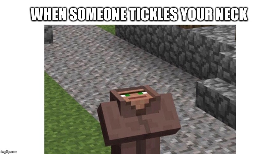 minecraft meme | WHEN SOMEONE TICKLES YOUR NECK | image tagged in fun,minecraft | made w/ Imgflip meme maker