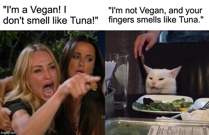 "where's my tuna salad?" | "I'm a Vegan! I don't smell like Tuna!"; "I'm not Vegan, and your fingers smells like Tuna." | image tagged in memes,woman yelling at a cat | made w/ Imgflip meme maker