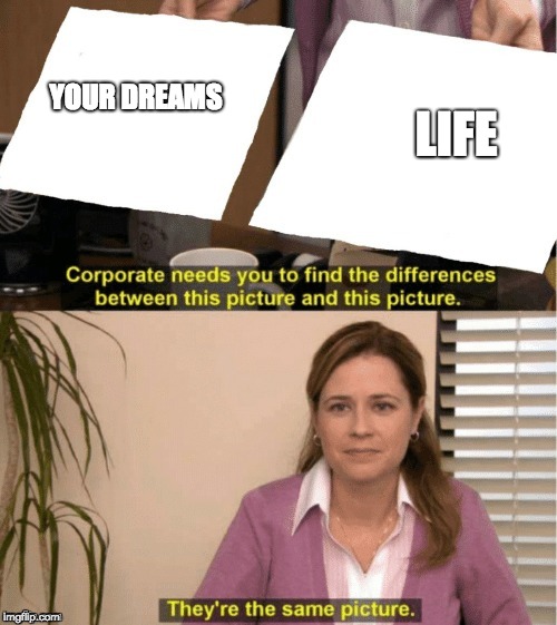 They're The Same Picture Meme | YOUR DREAMS; LIFE | image tagged in office same picture | made w/ Imgflip meme maker