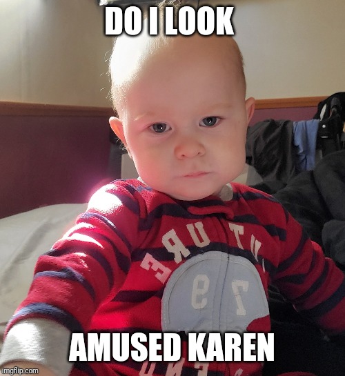 Not amused | DO I LOOK; AMUSED KAREN | image tagged in not amused | made w/ Imgflip meme maker