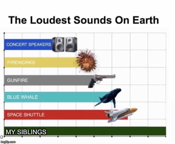 The Loudest Sounds on Earth | MY SIBLINGS | image tagged in the loudest sounds on earth | made w/ Imgflip meme maker