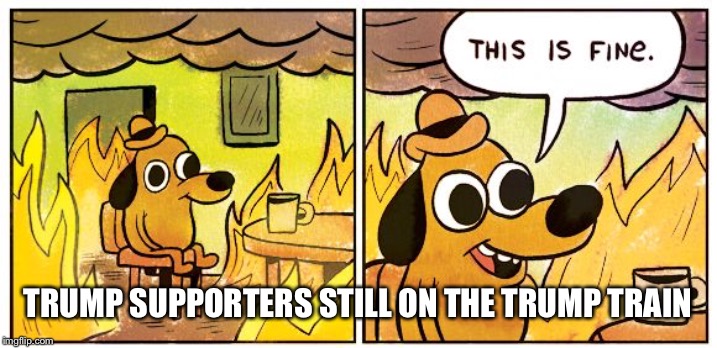 This Is Fine Meme | TRUMP SUPPORTERS STILL ON THE TRUMP TRAIN | image tagged in this is fine dog | made w/ Imgflip meme maker