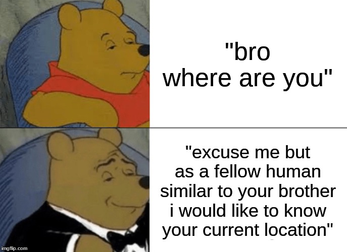 Tuxedo Winnie The Pooh | "bro where are you"; "excuse me but as a fellow human similar to your brother i would like to know your current location" | image tagged in memes,tuxedo winnie the pooh | made w/ Imgflip meme maker