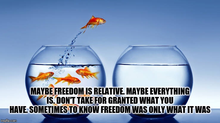 MAYBE FREEDOM IS RELATIVE. MAYBE EVERYTHING IS. DON'T TAKE FOR GRANTED WHAT YOU HAVE. SOMETIMES TO KNOW FREEDOM WAS ONLY WHAT IT WAS | made w/ Imgflip meme maker