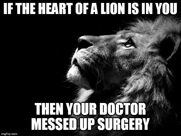 sad lion | IF THE HEART OF A LION IS IN YOU; THEN YOUR DOCTOR MESSED UP SURGERY | image tagged in sad lion | made w/ Imgflip meme maker