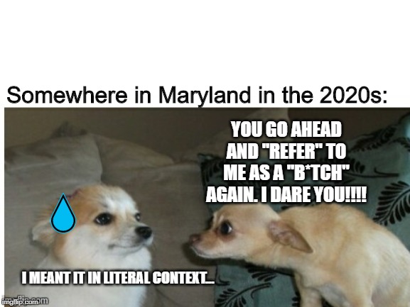 I hope this meme doesn't age well... | Somewhere in Maryland in the 2020s:; YOU GO AHEAD AND "REFER" TO ME AS A "B*TCH" AGAIN. I DARE YOU!!!! 💧; I MEANT IT IN LITERAL CONTEXT... | image tagged in two dogs | made w/ Imgflip meme maker