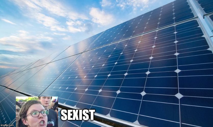solar panels | SEXIST | image tagged in solar panels | made w/ Imgflip meme maker