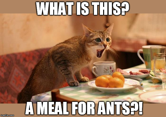WHAT IS THIS? A MEAL FOR ANTS?! | made w/ Imgflip meme maker
