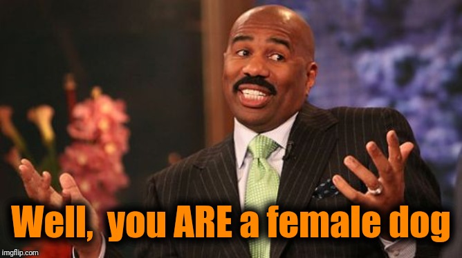 Well,  you ARE a female dog | image tagged in memes,steve harvey | made w/ Imgflip meme maker