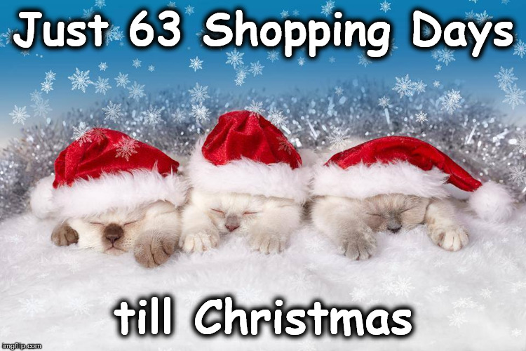 christmas | Just 63 Shopping Days; till Christmas | image tagged in christmas | made w/ Imgflip meme maker