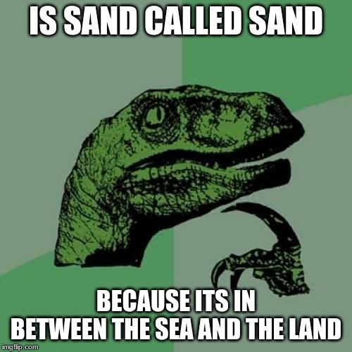 Philosoraptor | IS SAND CALLED SAND; BECAUSE ITS IN BETWEEN THE SEA AND THE LAND | image tagged in memes,philosoraptor | made w/ Imgflip meme maker