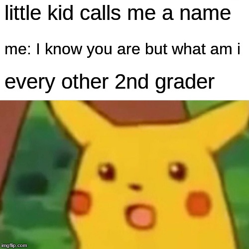Surprised Pikachu Meme | little kid calls me a name; me: I know you are but what am i; every other 2nd grader | image tagged in memes,surprised pikachu | made w/ Imgflip meme maker