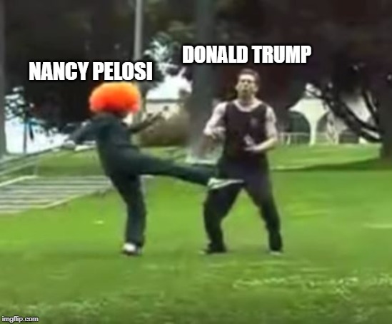 Impeachment Got Him Like | DONALD TRUMP; NANCY PELOSI | image tagged in kicked in the nuts | made w/ Imgflip meme maker