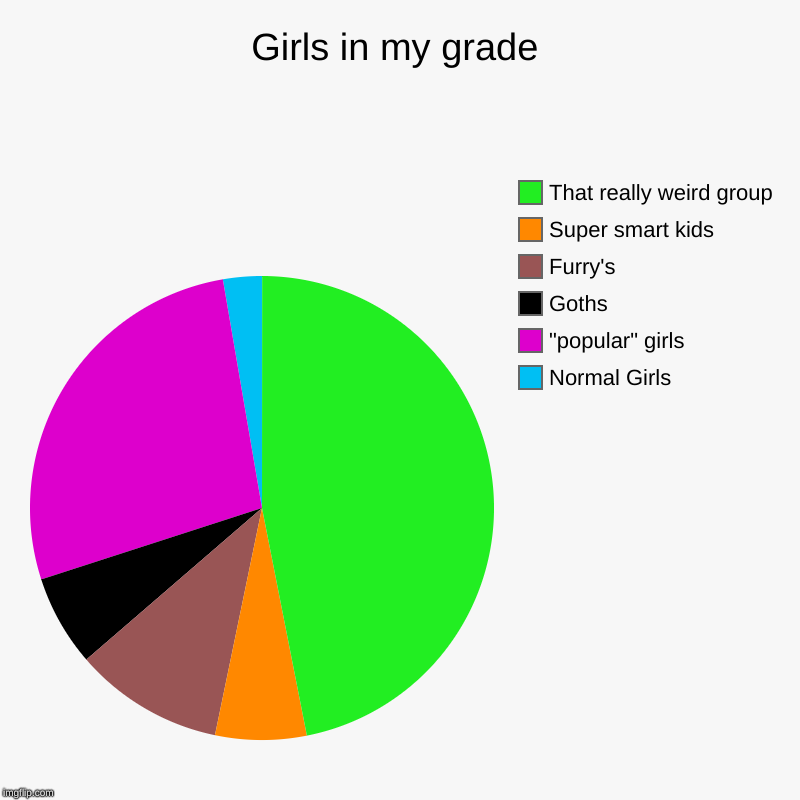 Girls in my grade | Normal Girls, "popular" girls, Goths, Furry's, Super smart kids, That really weird group | image tagged in charts,pie charts | made w/ Imgflip chart maker