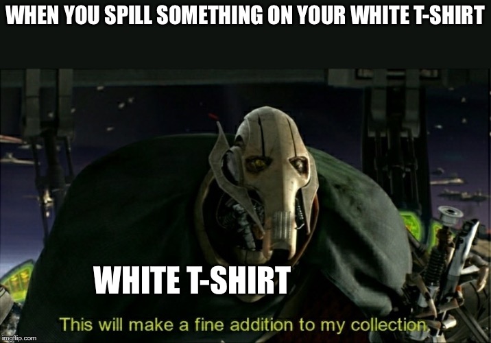 Why Though? | WHEN YOU SPILL SOMETHING ON YOUR WHITE T-SHIRT; WHITE T-SHIRT | image tagged in this will make a fine addition to my collection | made w/ Imgflip meme maker