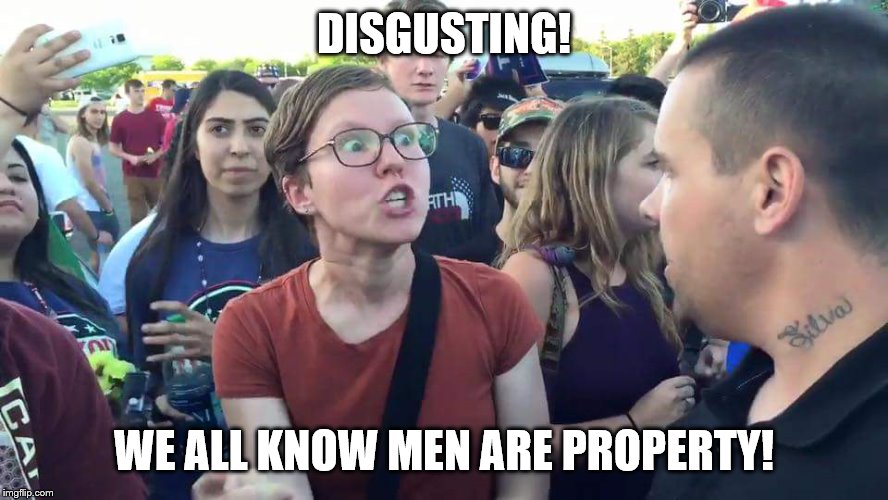 Triggered Feminazi | DISGUSTING! WE ALL KNOW MEN ARE PROPERTY! | image tagged in triggered feminazi | made w/ Imgflip meme maker